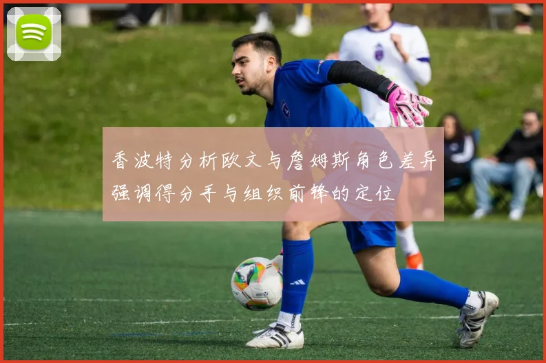 香波特分析欧文与詹姆斯角色差异强调得分手与组织前锋的定位